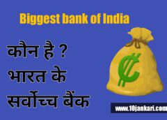 Top 10 biggest bank of India in hindi